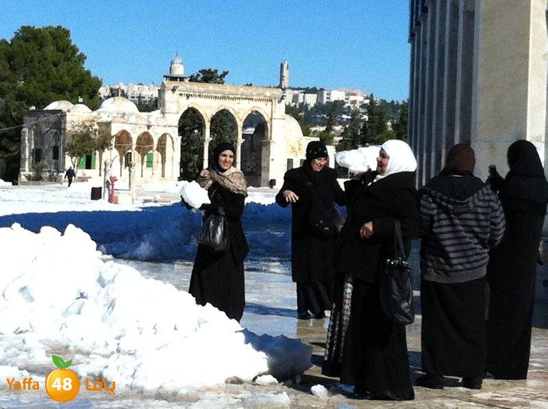 yaffa byareq (11).jpg